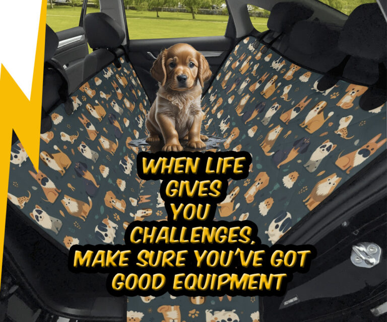 Dog car seat covers